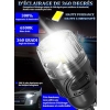 Żarówki XELORD W5W T10 LED 6000K, białe, bez polaryzacji, przeznaczone do czytania w samochodzie, oświetlenia tablicy rejestracyjnej, 2 sztuki