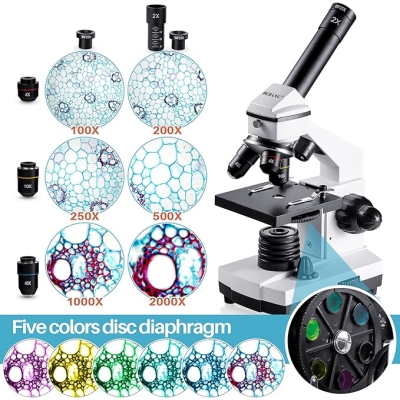 BEBANG 100X-2000X Mikroskop dla dzieci dorosłych, profesjonalny mikroskop biologiczny dla studentów szkolnych laboratorium