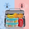TORBA TERMICZNA LUNCHBOX PIKNIKOWA REGULOWANA 8 LITRÓW SZARY OXFORD